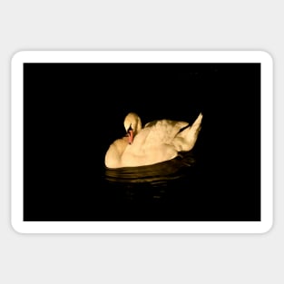 Swan 7 / Swiss Artwork Photography Sticker